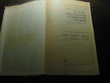 Основы импульсной и цифровой техники.1975, фото №3