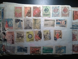 Спичечные этикетки СССР 1950-80-е годы.Бонус вырезки с конвертов., фото №8