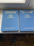Клиническая педиатрия в 2 томах, фото №2