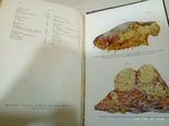 Руководство к общей патологии для ветеринарных врачей и студентов, фото №3