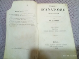 Traite d'antomie descriptive 1853 год, фото №2