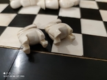 Шахматы слоновая кость, фото №11