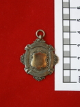 Подвес. Медальон. Серебро с позолотой 9 гр, фото №4