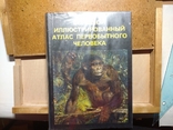 Иллюстрированный атлас первобытного человека. Состояние!, фото №2