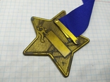 Медаль 34-й Венский марафон Vienna City Marathon, 23 апреля 2017. тяжелая, фото №5