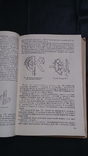 Устройство и ремонт автомобилей 1972 г, фото №5