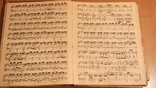 Sonaten fr Pianoforte solo von L. van Beethoven, фото №6