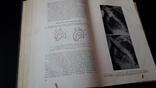 Г. Ф. Ланг "Руководство по внутренним болезням" 1958 г., фото №7