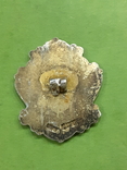 Значок горняков района Йоркшир NUM, выданный за длительное членство в NUM.28x23мм,серебро., фото №4