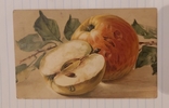 Открытка "Яблоки" Германия 1910-е г.г., фото №3
