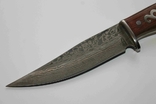 Охотничий нож Дамаск 21.5 cm, фото №5