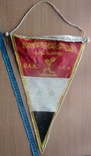 Autograph on pennant Leonid Zhabotinsky, photo number 2