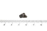 Залізний метеорит Campo del Cielo, 1,5 грам, із сертифікатом автентичності, numer zdjęcia 4