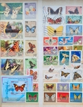 Флора и фауна марки разных стран мира (606шт), фото №10