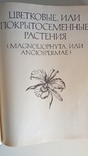 Большая книга "Жизнь растений"1982 г. изд., фото №5