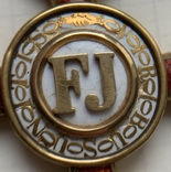 Орден Франца Йосифа, золото 750, клейма, вес 19,45 грамм, фото №11