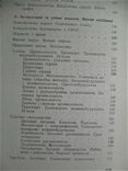 Образотворче мистецтво Радянської України 1917-1966 Х.1966, фото №10