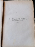 Грінченко. Прижиттєве. Писання Трохима Зіньківського 1896, фото №7