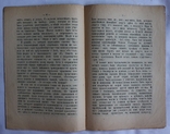 Генрі Джордж, "Моисей как социальный реформатор" (1906), фото №5