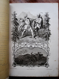 Гете. "Фауст" с гравюрами 1899 год. (Две части в одной книге), фото №10