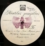Наутилус Помпилиус - Чужая Земля - 1992. (LP). 12. Vinyl. Пластинка. Russia., фото №5