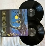 Iron Maiden - Fear Of The Dark - 1992. (2LP). Пластинки. Russia. Limited Edition., фото №2