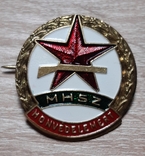 Знак Венгрия MHSZ, фото №2