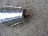 Scooter Tulitsa exhaust pipe muffler, photo number 3