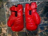 Боксерські рукавиці., фото №2