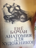 Енё Барчаи Анатомия для художника ( оригінальне видання), фото №2