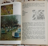 Якщо ви маєте бджіл, В.В. Родіонов, І.А. Шабаршов., фото №6