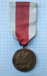 Медаль "За заслуги", фото №2