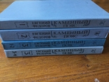 Е. Фёдоров 1988 г издание Каменный пояс, фото №2