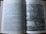 Винсент Ван Гог Н. А. Дмитриева 1975 год, фото №5