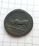 Дихалк, Херсонес. 300-290 гг. до н.э., фото №3