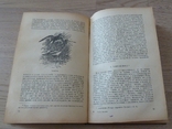 С.Т. Аксаков.Записки ружейного охотника Оренбургской губернии, Географгиз. 1953г., фото №6