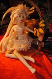 Doll articulated in a single copy, 45 cm, American plastic, photo number 4