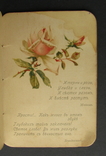 Иллюстрированный календарь на 1899 г. Старый и новый стиль. Изд. Отто Кирхнер 1898 г. СПБ., фото №10