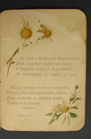 Иллюстрированный календарь на 1899 г. Старый и новый стиль. Изд. Отто Кирхнер 1898 г. СПБ., фото №12