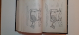 Александрова-Игнатьева.Основы кулинарного искусства 1902г, фото №7