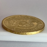 5 песо. 1887. Аргентина (золото 900, вес 8,06 г), фото №6
