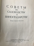 Совєти по садоводству и виноградарству., фото №4