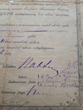 Посвідчення 1926 р, фото №8