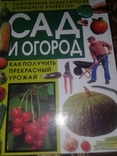 Книги, numer zdjęcia 2