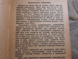 Степные разбойники роман 1900, фото №3