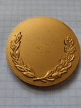 Настольная медаль.Мальмезон., фото №4