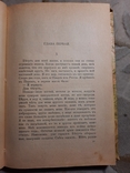 Пыль Шикарный Роман 1916, фото №3