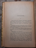 Пыль Шикарный Роман 1916, фото №4