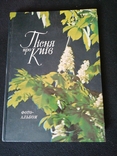 1978р.Пісня про Київ.Фотоальбом.Тир.50 000.Худ.В.Б.Бродский.ф-т.20.5х28.7см., фото №2