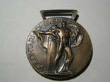 Медаль Волонтеров войны в Испании. Италия, фото №3